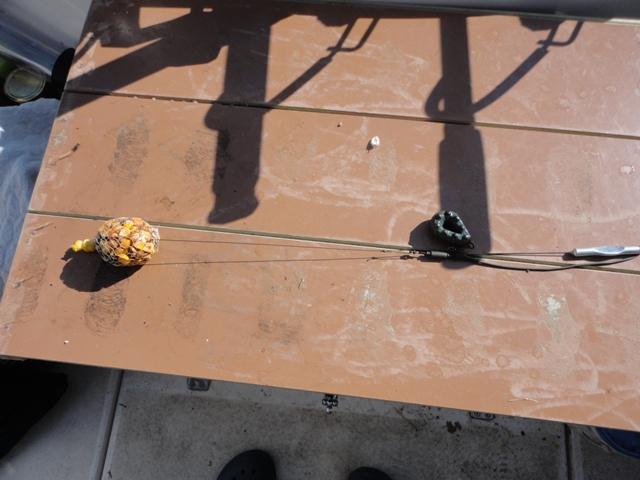 tehnici de pescuit la crap - dsc00874.JPG